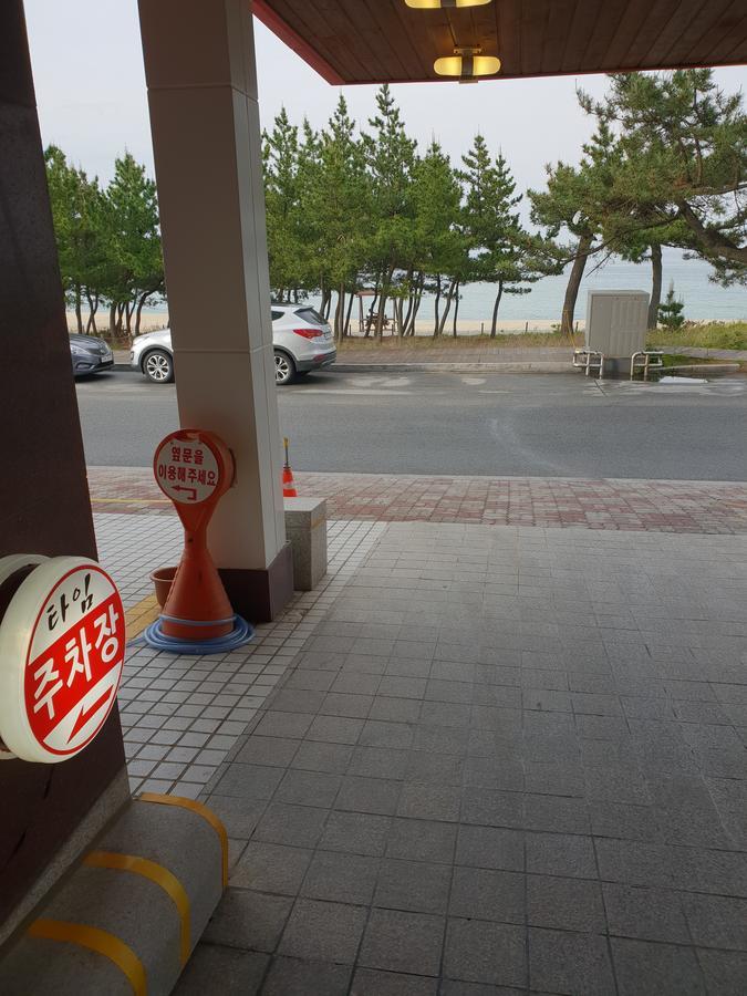 Time Motel Gangneung Eksteriør bilde