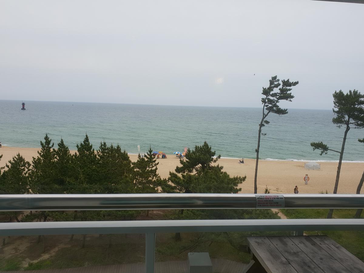 Time Motel Gangneung Eksteriør bilde