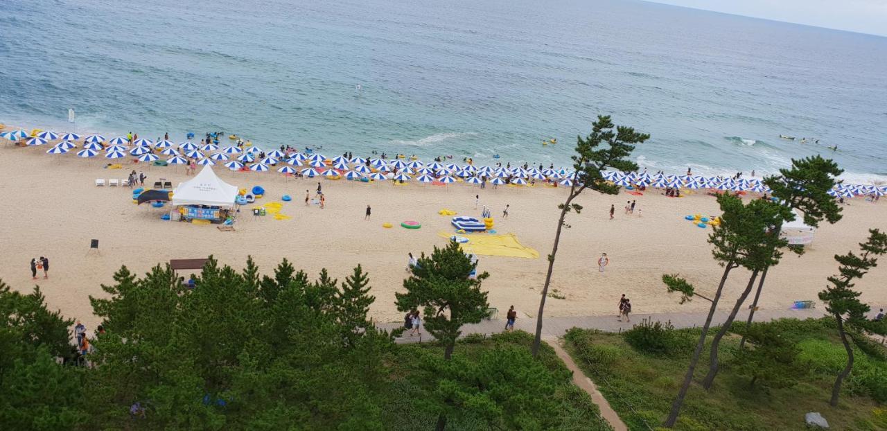 Time Motel Gangneung Eksteriør bilde
