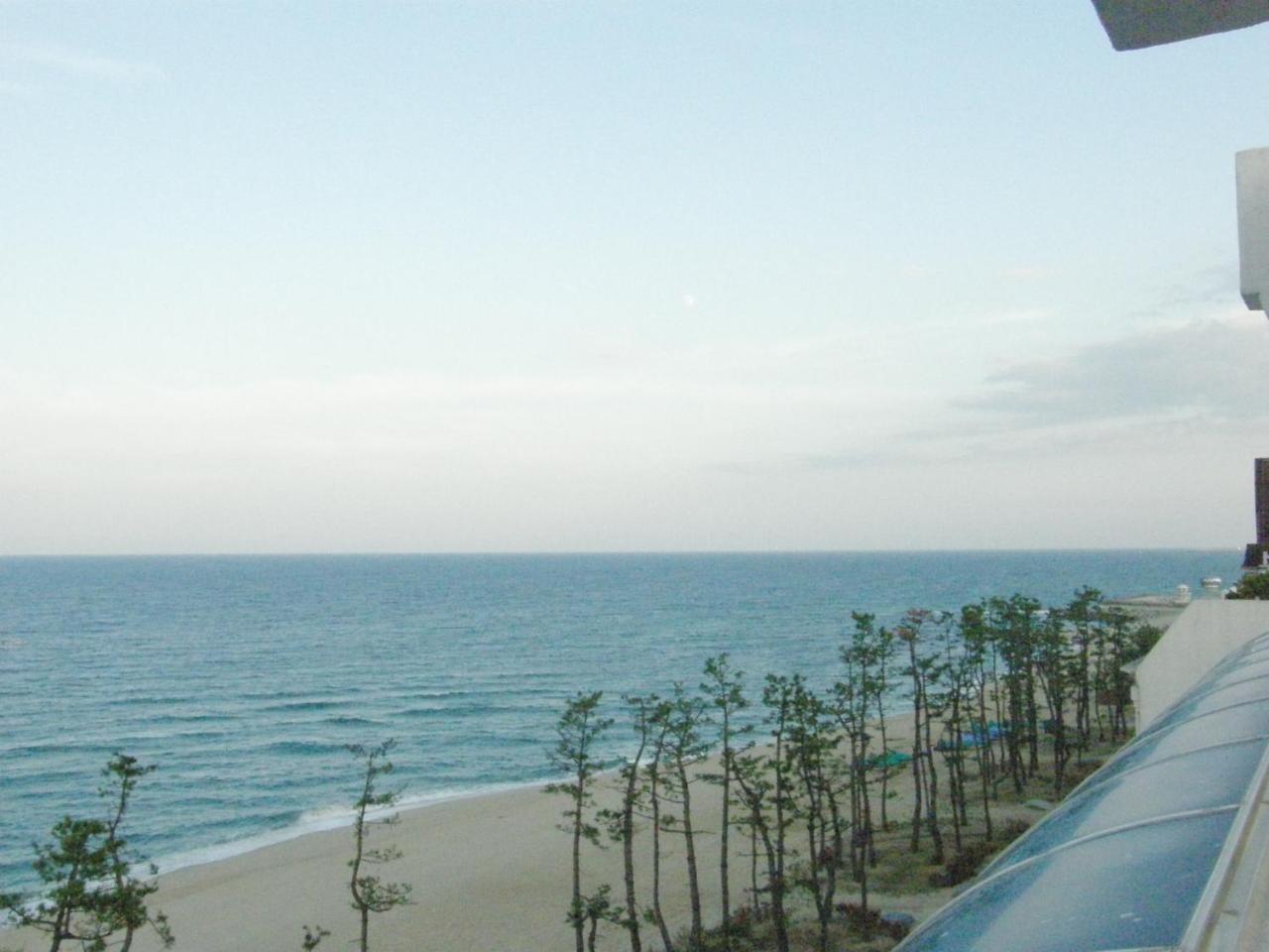 Time Motel Gangneung Eksteriør bilde